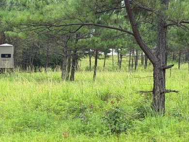 Discover one of the most unique ranch properties in Deep East - photo 46