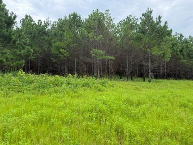 Discover one of the most unique ranch properties in Deep East - photo 47