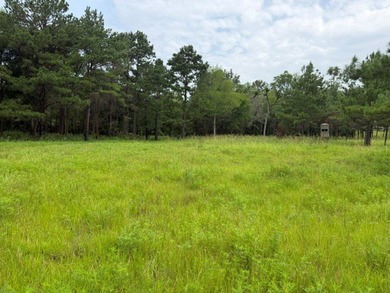 Discover one of the most unique ranch properties in Deep East - photo 48