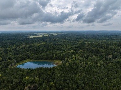 Discover one of the most unique ranch properties in Deep East - photo 52