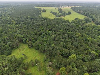 Discover one of the most unique ranch properties in Deep East - photo 53