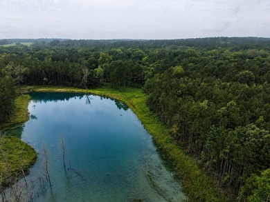 Discover one of the most unique ranch properties in Deep East - photo 54