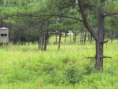 Discover one of the most unique ranch properties in Deep East - photo 57