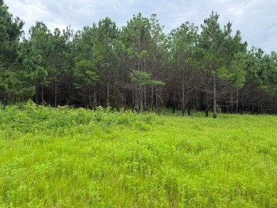 Discover one of the most unique ranch properties in Deep East - photo 58