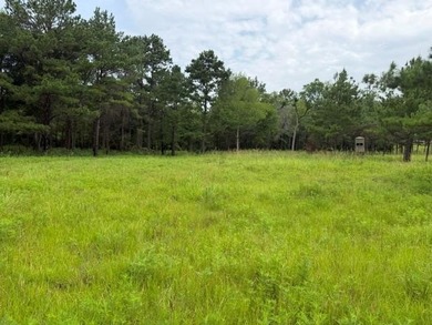 Discover one of the most unique ranch properties in Deep East - photo 59