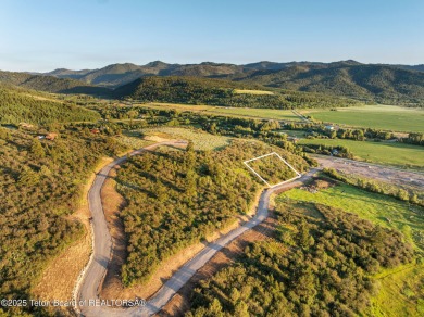 (private lake, pond, creek) Lot For Sale in Victor Idaho