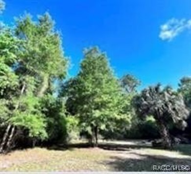 Withlacoochee River Acreage For Sale in Inglis Florida
