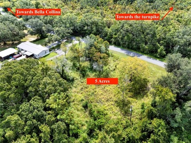 Lake Apopka Acreage For Sale in Clermont Florida