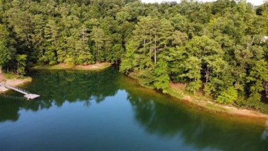 Lewis Smith Lake Lot For Sale in Crane Hill Alabama