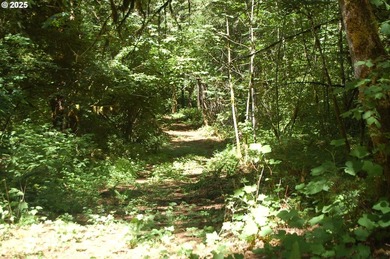 3.990 Gorgeous creek frontage with swimming hole and fishing - photo 11