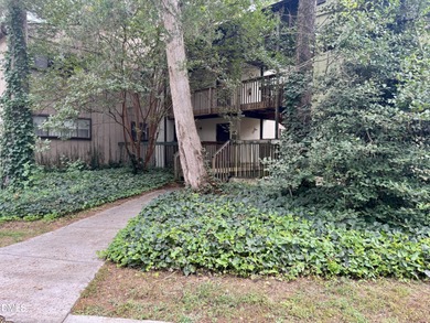 (private lake, pond, coastal) Condo For Sale in Raleigh North Carolina
