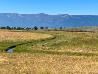 Lake Acreage Sale Pending in Cascade, Idaho