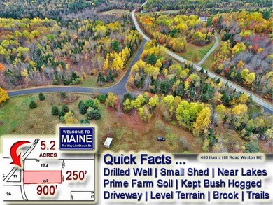 Lake Acreage For Sale in Weston, Maine