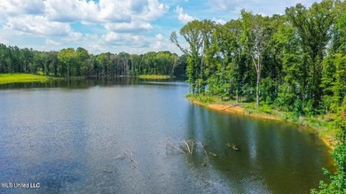 Welcome to Springwood, Flora's newest lakefront development - photo 6