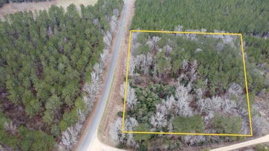 Pearl River Acreage For Sale in Columbia Mississippi