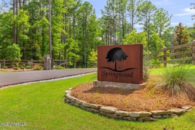 Welcome to Springwood, Flora's newest lakefront development - photo 4