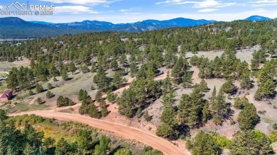 (private lake, pond, creek) Acreage For Sale in Florissant Colorado