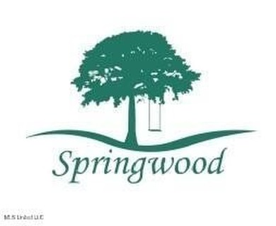 Welcome to Springwood, Flora's newest lakefront development - photo 10