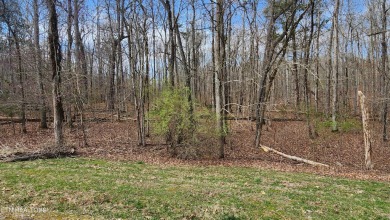 Watts Bar Lake Lot For Sale in Rockwood Tennessee