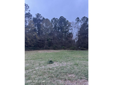 Lot 77 is a cleared lot ready for your future home. This - photo 1