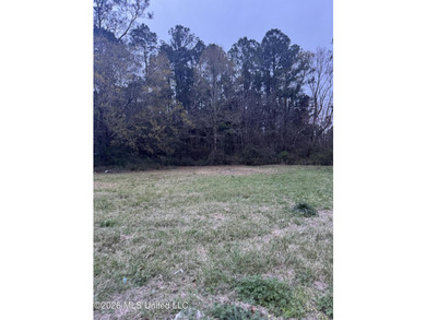 Lot 77 is a cleared lot ready for your future home. This - photo 2