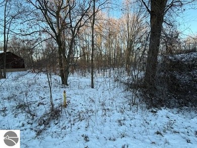Rainbow Lake - Gratiot County Lot For Sale in Perrinton Michigan