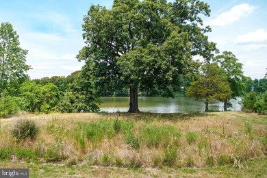 Nestled on Peachblossom Creek in Easton is a property that won't - photo 14