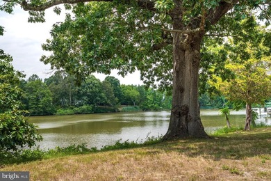 Nestled on Peachblossom Creek in Easton is a property that won't - photo 15