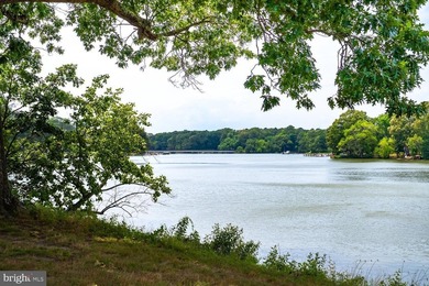 Nestled on Peachblossom Creek in Easton is a property that won't - photo 16