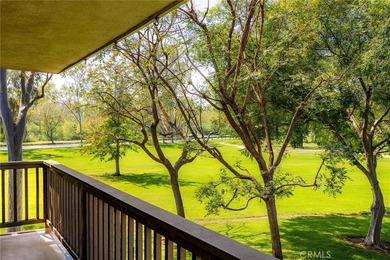 38 Arboles - photo 24
