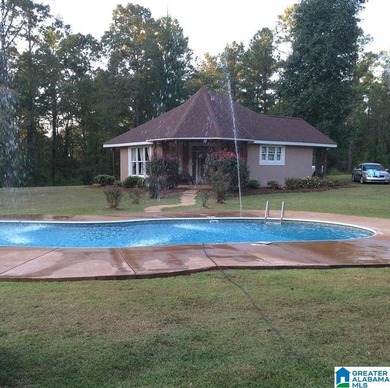 Private estate living in Alpine Alabama near Logan Martin Lake - photo 7