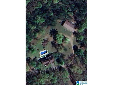 Private estate living in Alpine Alabama near Logan Martin Lake - photo 8