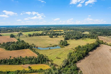Lake Acreage For Sale in Lexington, Tennessee