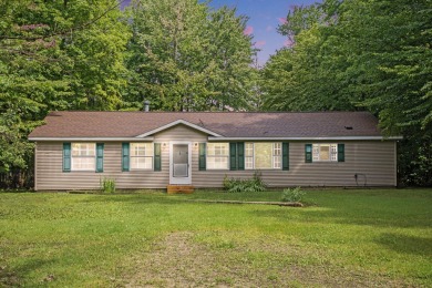 Lake Home For Sale in Trout Lake, Michigan