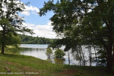 Lake Lot For Sale in Houston, Alabama