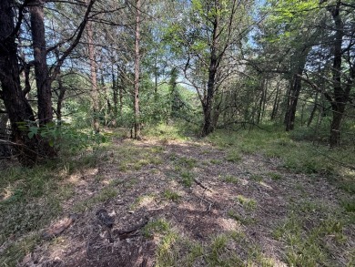 Off Water Lot! No HOA, Minimum Restrictions at RC Lake! - photo 21