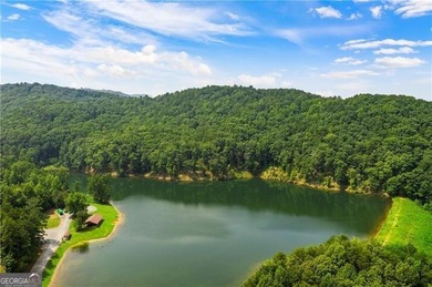 (private lake, pond, creek) Acreage For Sale in Ranger Georgia
