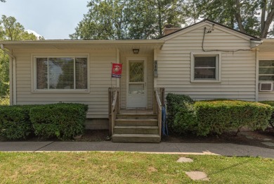 Lake Home For Sale in Manchester, Michigan
