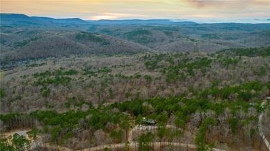 Welcome to your own private oasis nestled in the Ozark Mountains - photo 5