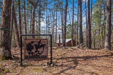 Welcome to your own private oasis nestled in the Ozark Mountains - photo 6