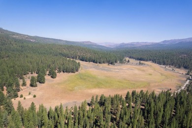  Acreage For Sale in Loyalton California