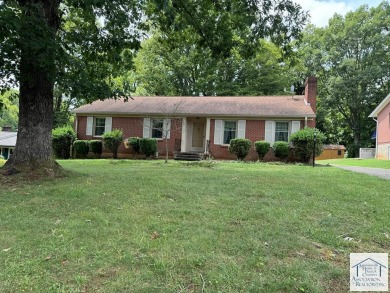 Lake Lanier Home For Sale in Martinsville Virginia