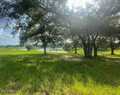 Lake front lots in a beautiful new Subdivision on Highway 63 - photo 20