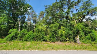 Withlacoochee River Lot For Sale in Webster Florida