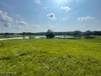 Lake front lots in a beautiful new Subdivision on Highway 63 - photo 23