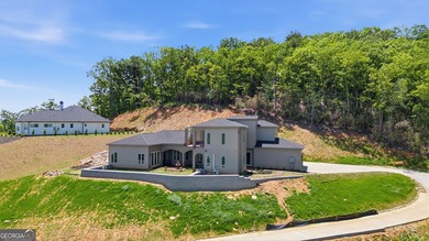 Discover your dream home with breathtaking panoramic long-range - photo 29