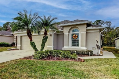 Lake Home Sale Pending in Wesley Chapel, Florida