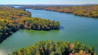 Enjoy lakeside living at this peaceful McGrath Pond retreat! - photo 3
