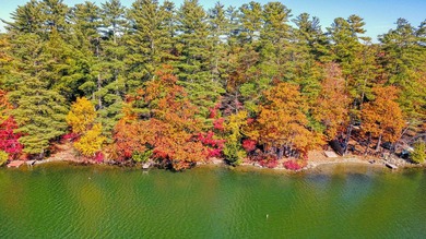 Enjoy lakeside living at this peaceful McGrath Pond retreat! - photo 4