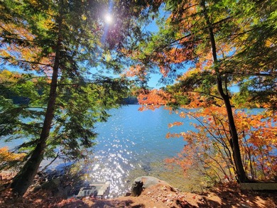 Enjoy lakeside living at this peaceful McGrath Pond retreat! - photo 5
